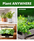 15 All In One Herb Seed Pack For Indoor Outdoor And Hydroponic Gardens With Over 4,300 Seeds Non GMO Heirloom Culinary Herbs