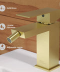 Concorde Bidet Faucet In Brushed Gold Solid Brass Single Hole Install 1.2 GPM Flow Easy One Handle Control For Hot And Cold Water