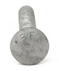 Close-up of 3/8-16 X 4 Inch Hot Dip Galvanized Carriage Bolt Kit Grade 307A With 50 Flat Washers And 50 Hex Nuts For Exterior Use