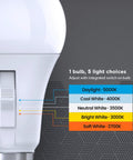 A19 LED Motion Sensor Bulb With 60W Equivalent, 5CCT Options, E26 Base, 800 Lumens, Auto On Auto Off, Smart Energy Saving Lighting For Hallways And Rooms In Any Home. Side view with 5CCT switch.