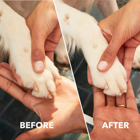 Before and after using Pet Nail Guard Attachment With 45 Degree Paw Guide For Dog And Cat Nail Trimming No Mess Dust Capture Fur Guard