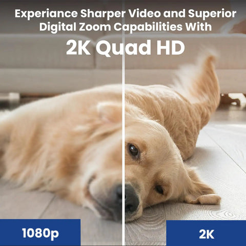 Comparison of 1080p and 2K video quality on a pet, showcasing 2K Indoor WiFi Security Cam with Magnetic Base and Flexible Mount.