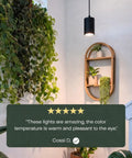 Decor Grow Light With Sunset Spectrum Warm White LEDs For Small And Medium Plants Black lamp in cozy plant-filled corner.