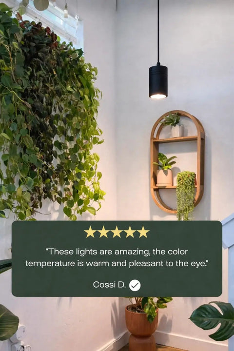 Decor Grow Light With Sunset Spectrum Warm White LEDs For Small And Medium Plants Black lamp in cozy plant-filled corner.