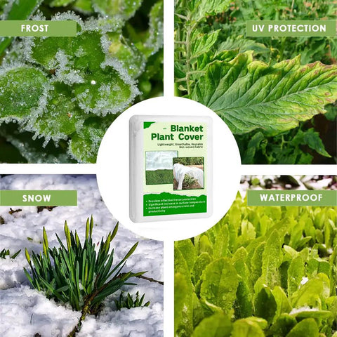 Chill Proof Your Garden With This 7x50ft Frost Cloth Floating Row Cover For Cold Weather And Shade Perfect For Outdoor Vegetables Trees And Greenhouse Protection All Winter Long