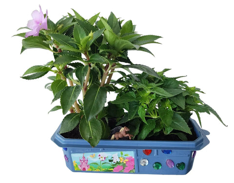 Flower Princess Palace Terrarium Starter Kit with Jewelweed and Princess Flowers in decorated tray with prancing pony figure