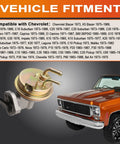 Mechanical Fuel Pump With Spring Plug And Play Direct Fit For Classic GM Cars next to vintage Chevrolet truck.
