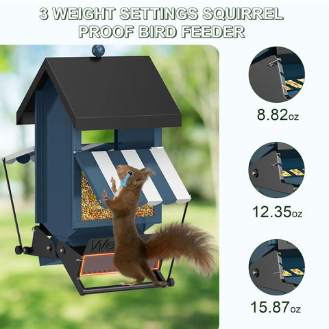 Heavy Duty Squirrel Proof Bird Feeder With Weight Activated Perch 5 Pound Capacity, squirrel trying to access feeder