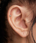 Gold PVD Titanium Threadless Push In Triple Ball Cluster Flat Back Ear Stud For 16 20 Gauge 6mm Or 8mm Bar Length 3mm Balls Implant Grade ASTM F 136 Body Jewelry on ear