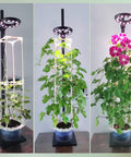 Indoor Hydroponics Tower Grow Kit With LED Grow Light For Herbs, Vegetables And Microgreens on wooden table