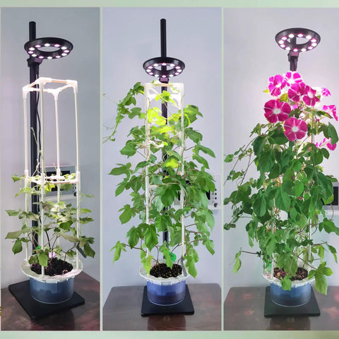 Indoor Hydroponics Tower Grow Kit With LED Grow Light For Herbs, Vegetables And Microgreens on wooden table