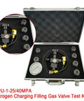 Pro Grade Hydraulic Nitrogen Accumulator Charging And Pressure Test Kit, 400 Bar 5800 PSI, in protective case with versatile fittings