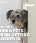 Snaps Right On Eva Foam Door Pinch Guards And Slam Blockers Six Pack with dog looking through a door, showcasing safety features.
