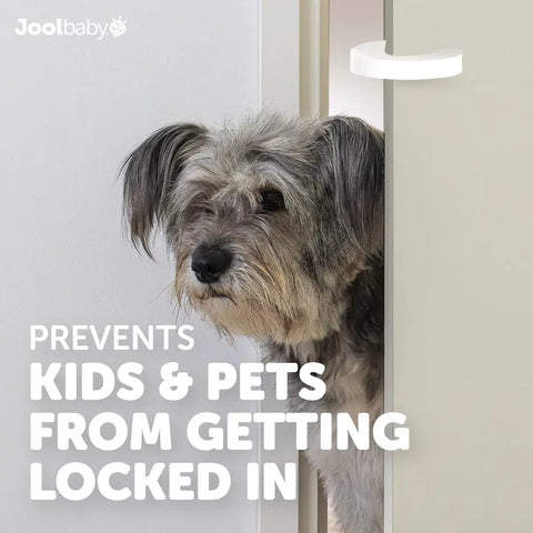 Snaps Right On Eva Foam Door Pinch Guards And Slam Blockers Six Pack with dog looking through a door, showcasing safety features.