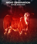 Cow illuminated by Red LED Flashlight With One Mode For Night Observation Astronomy And Aviation Two Pack Red Light Torch