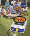 10,000 BTU Propane Stove With Regulator, Single Burner Stainless Steel Cooktop, Portable Outdoor Camp Stove at a picnic