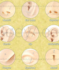 Diagram showing Piercing Taper Ball Grabber Tool Set 14G 16G 18G 20G Stainless Steel For Easy Jewelry Change on various body parts.