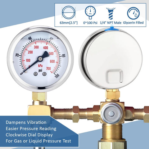 Front view of a 2.5-inch glycerin-filled pressure gauge with brass 1/4 NPT lower mount and stainless steel case, 0–100 psi.