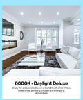 Brighten Any Room With Dimmable BR40 LED Light Bulbs 1400 Lumens 17W 100W Equivalent Indoor Flood illuminating a modern living room