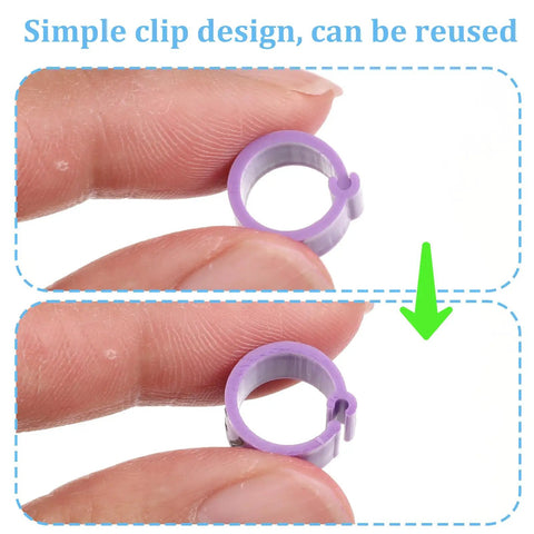 Close-up of 8mm purple clip from 100 Pcs 8mm Birds Leg Rings Set With 10 Colors And Readable Numbers 0 To 100 Easy Clip On Identification Bands