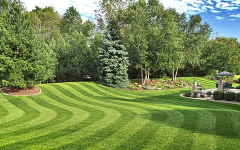 Beautifully manicured lawn with curved patterns in a lush garden setting, showcasing the effectiveness of the Leverage Metal Base Weed Puller With Deep V Nose For Root Deep Digs And No Sweat Pulls Rustproof Stainless Steel Weeding Tool For Dandelions And Tough Weeds.