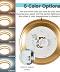 Dope 16 Inch LED Flush Mount Ceiling Light With 5 Color Temperature Options From 2700K To 5000K Dimmable 24W 1920 Lumens Energy Star ETL Listed Brushed Brass Finish showing color options and adjustment switch