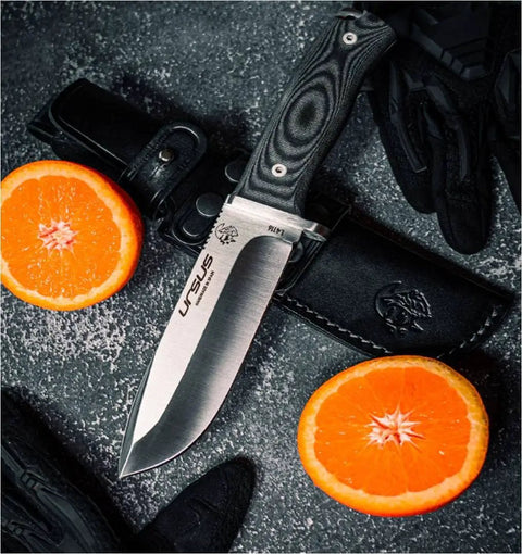 Survival Knife For Camping And Bushcraft With 14.5 cm Drop Point Blade In Stainless MOVA 1.4116 next to orange slices and sheath