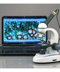 2.0MP Digital Microscope Camera For Still And Video Imaging With Editing And Measuring Software on microscope and laptop