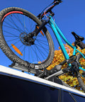 Bike secured with Six Pack 2.1Ft Lashing Straps With Buckle Beefy Heavy Duty Adjustable Tie Down Straps 65x2.5cm 100kg Capacity