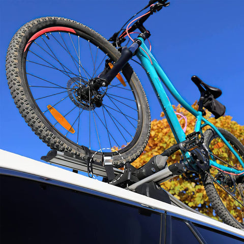 Bike secured with Six Pack 2.1Ft Lashing Straps With Buckle Beefy Heavy Duty Adjustable Tie Down Straps 65x2.5cm 100kg Capacity