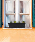 3 Pack 16x3.8 Inch Window Box Planters With Drainage Holes And Trays, Black Rectangular Plastic Pots on windowsill with succulents