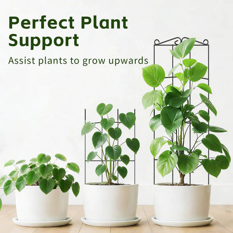 4 Pack 31 Inch Tall Metal Plant Trellis for Indoor and Outdoor Use displayed with potted plants, heavy duty steel frame for vines