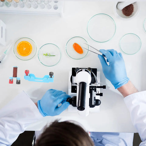Scientist using microscope with Two Set Electromagnet Experiment Kit For Physics Teaching And Magnetism Labs In Primary School