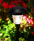 8 Pack Solar Pathway Lights Outdoor Waterproof Glass Stainless Steel Decor Lamps for Yard Patio Driveway Sidewalk, glowing among flowers at night.