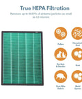 Replacement Carbon Filter Set for Coway Airmega 400 and 400S Air Purifiers, HEPA filter diagram showing pollutant types removed