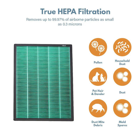 Replacement Carbon Filter Set for Coway Airmega 400 and 400S Air Purifiers, HEPA filter diagram showing pollutant types removed