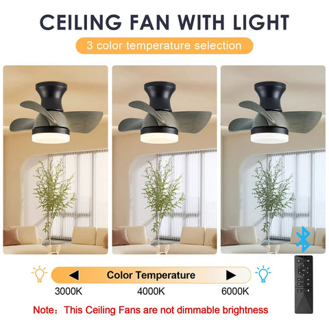 20 Inch Mini Ceiling Fan With Light Remote Quiet Flush Mount 3 Reversible Blades Tiny But Mighty Industrial Style For Kitchen Dining Room Bedroom Office In Small Spaces, showcasing 3 color temperatures.