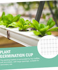 200 Piece Hydroponic Growth Kit For Easy Garden Veggies With Lightweight Breathable Plant Cups And Growth Baskets Ideal For Hydroponic Vegetables Drought Resistant Plant Maintenance And Home Setup, plant germination cup