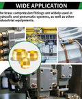Brass Compression Sleeves Ferrules Fittings 325Pcs Assortment Kit in use for air, water, fuel, oil, gas line connections in industrial settings
