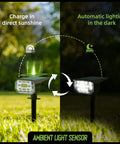 Super Bright 50 LED Solar Spotlight Outdoor Lights With 2in1 Design, showing charging in sunlight and lighting in darkness.
