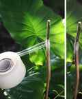Close-up of grafting tape being wrapped on a fruit tree branch, showing stretchable film application for apple citrus peach persimmon trees.