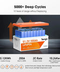 51.2V 100Ah LiFePO4 battery inside view showing cells and cover with usage specs, 5000+ deep cycles, built-in BMS features