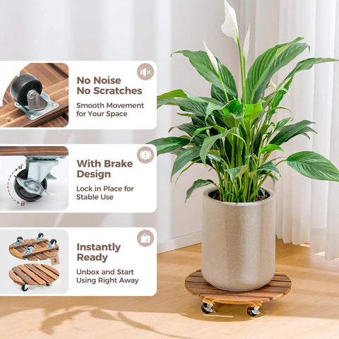 Tough Wood Plant Stand With Wheels 12 Inch Rolling Planter Caddy Four Pack Durable swivel casters supporting a potted plant.