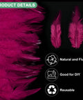 Bulk 300 Pack Saddle Hackle Rooster Feathers 3 To 6 Inches Natural Fluffy For Crafting Weddings Dream Catchers DIY Projects Decor Centerpieces Party Props Wine Red, showing detailed view with texture and size illustration.