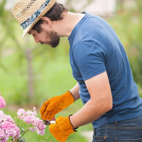 A man gardening wearing 12 Pairs Leather Work Gloves With Flexible Grip For Gardening And Construction Men And Women Cowhide Thorn Proof.