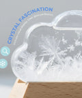 Close-up of Cloud Storm Glass Weather Forecaster Desktop Weather Station Predictor For Home Office Decor Cute Cloud Bottle