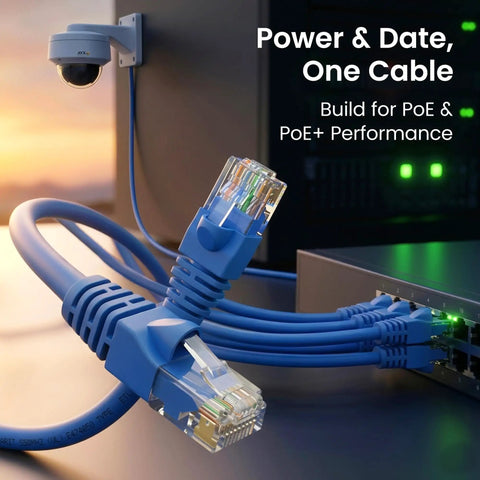Blue Cat6 Ethernet Patch Cables 10 ft in use, connected to network switch, part of 10 pack for dope home office networking, gold connectors.