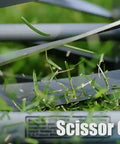 Close-up of 16-Inch 7-Blade Push Reel Lawn Mower With Ball Bearing Reel And 10-Inch Composite Wheels in action cutting grass