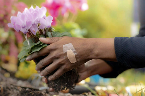 Hand wearing waterproof clear bandage with 360 degree seal while gardening, protecting minor wounds from dirt and germs.