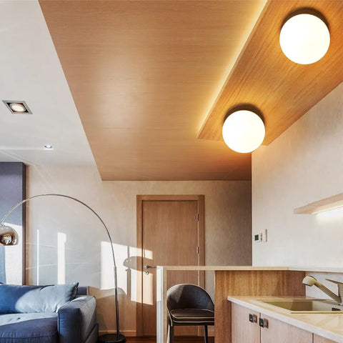 Interior with Matte Black Modern Globe Wall Sconce 1 Light With Opal Glass Shade as ceiling fixture in living room